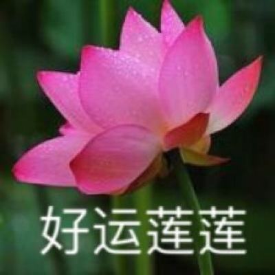 张子宇砍44分 U18中国女篮大胜日本